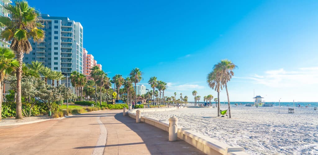 a walkway with palm trees and a beach