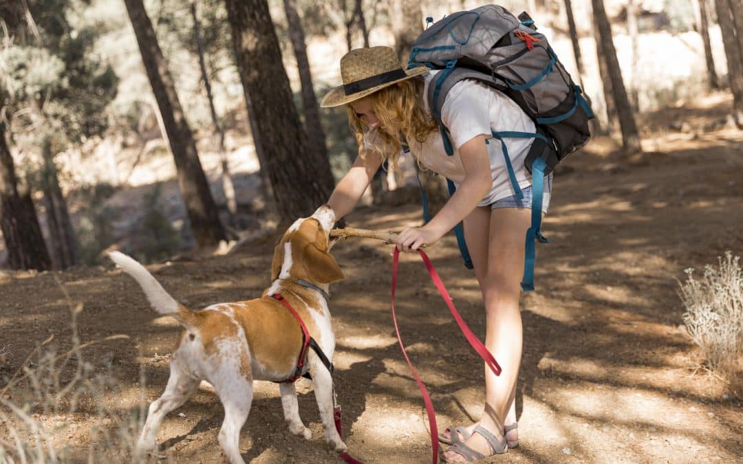 Elegant Concierge Services Shares Destinations To Take Your Dog (2)