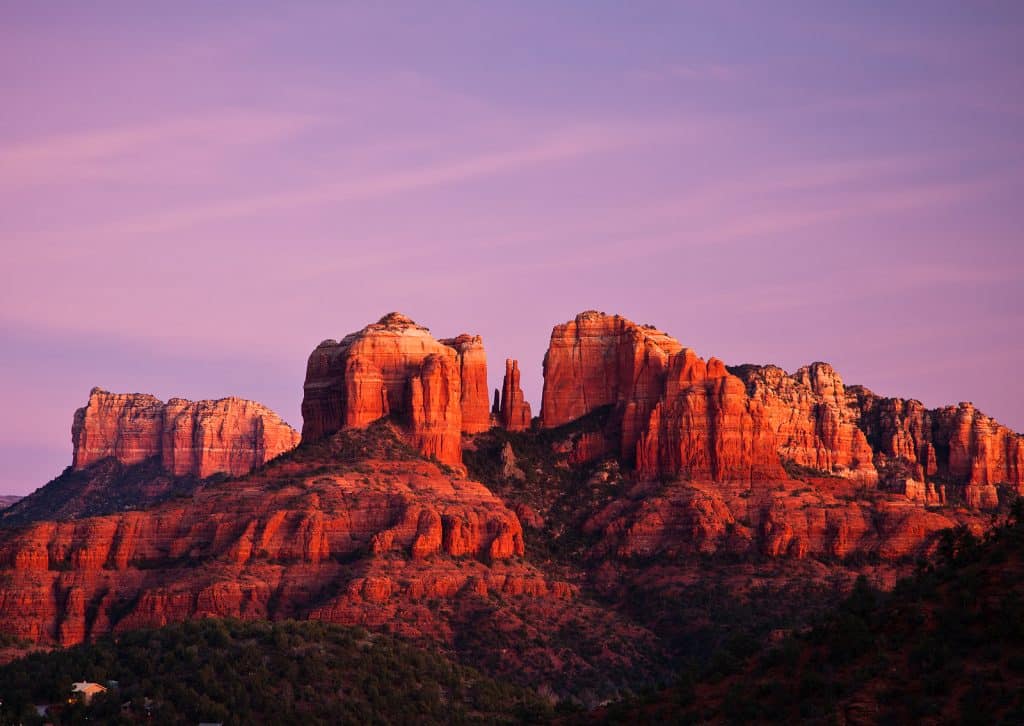 Elegant Concierge Services Shares Destinations To Take Your Dog 3