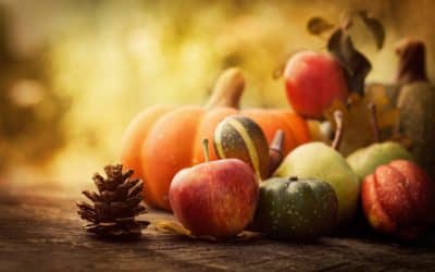 Elegant Concierge Services Reviews Fun Fall Adventures