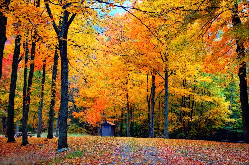 Elegant Concierge Services Reviews Fun Fall Adventures 2
