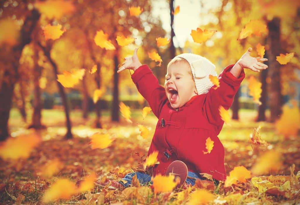 Elegant Concierge Services Reviews Fun Fall Adventures 3